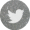 logo_twitter1